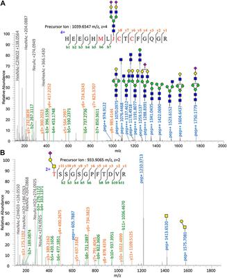 Site-Specific N- and O-Glycosylation Analysis of Human Plasma Fibronectin